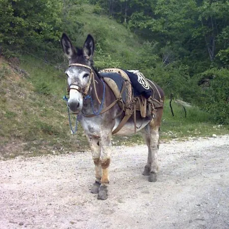 Agritur