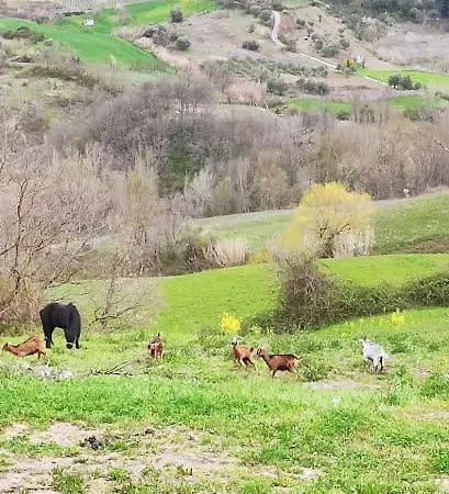 Agritur Otel